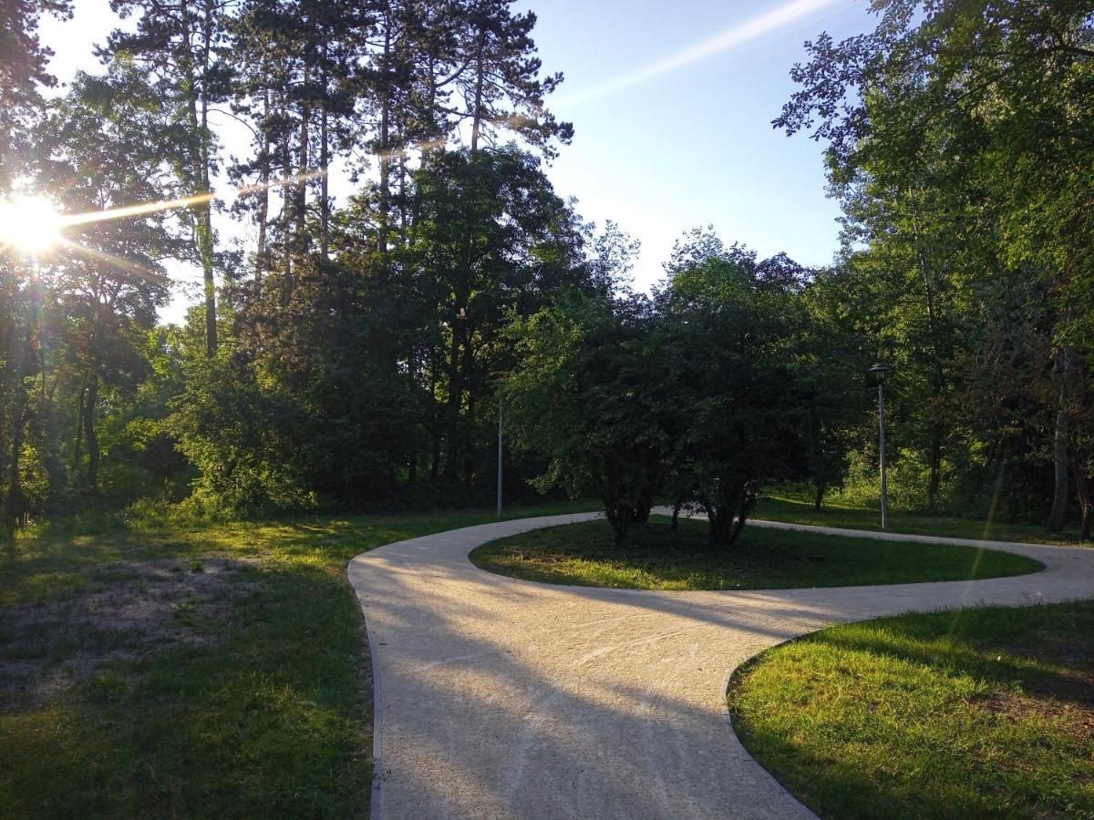 Apartament Ap. Near Thermal Bath Pápa Zewnętrze zdjęcie