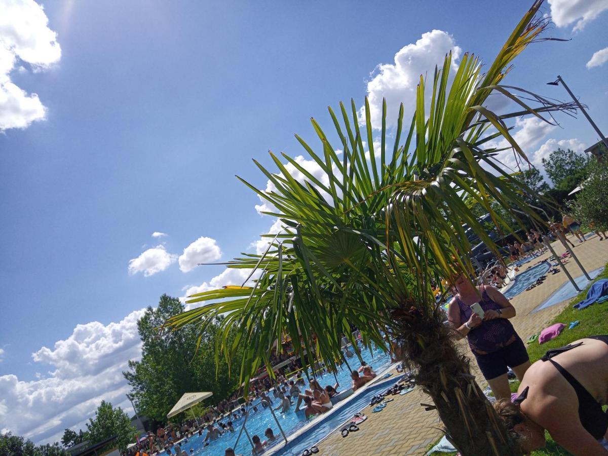 Ap. Near Thermal Bath Pápa Zewnętrze zdjęcie
